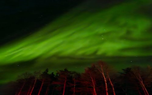 Rovaniemi Norvajärvi Northern Lights Half-Day Tour with Small Group