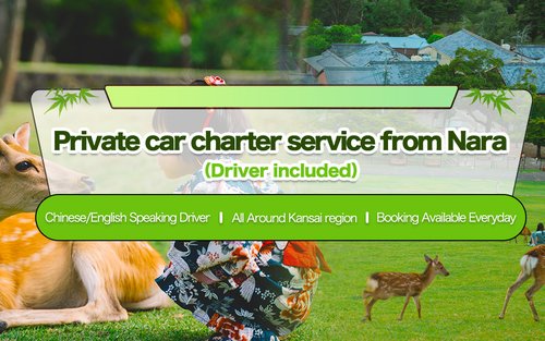 運転手付き 奈良 観光プライベートチャーター車