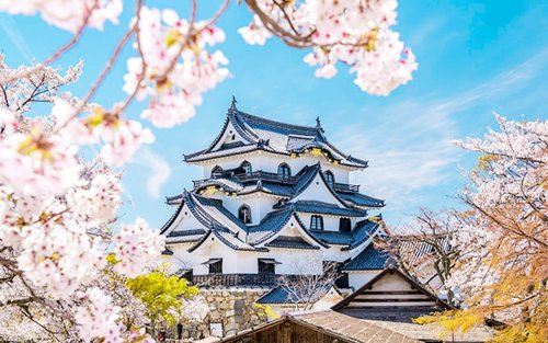 Shiga Lake Biwa One-Day Tour of Seasonal Scenery | Hikone Castle Cherry Blossom Viewing, Mount Hiei Autumn Foliage Viewing, Cruise, Snow Activities + La Collina Omihachiman + Nara One-Day Tour (Departure from Osaka)