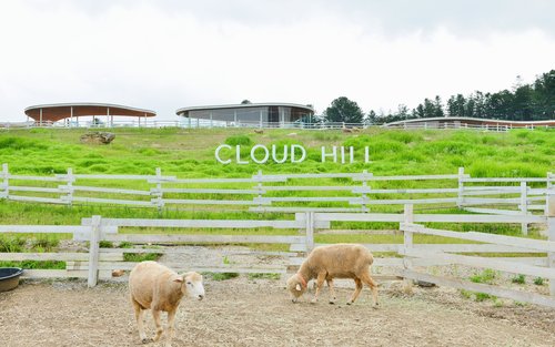 Gapyeong Sheep Farm at Eobi Valley at Pagpitas ng Strawberry (Kasama ang Pananghalian)