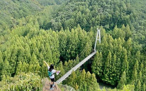 Visite d'une journée complète de la forêt de Jangtaesan à Séoul et de la boulangerie de Daejeon
