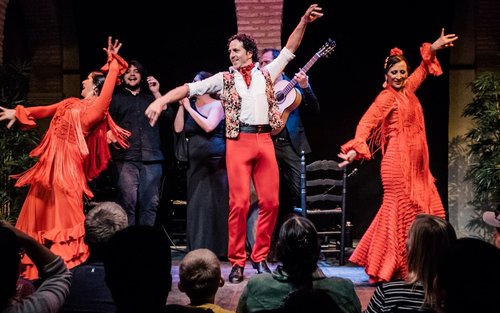 塞维利亚弗拉门戈表演（含可选购舞蹈博物馆）