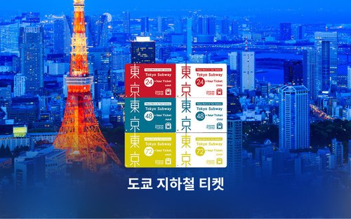 도쿄 지하철 티켓