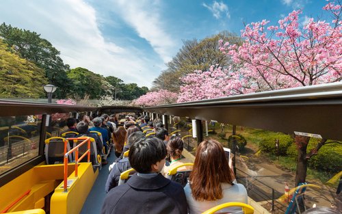 Tokyo City, Tour Panoramico in Autobus Scoperto