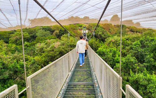 Aviary & Tricao Park Tour with Undurraga Wine Tasting