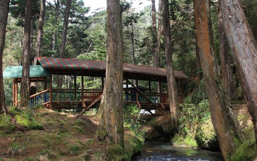 Medellin Parque Arvi Guided Tour