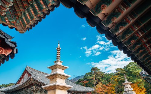 Gyeongju UNESCO Heritage & Ahopsan Forest 1-Day Tour from Busan