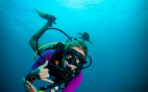 Dumaguete & Dauin Dive into Fun for beginners at PADI 5* Center"