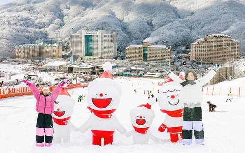 Vivaldi Park Snowy Land One Day Self Guided Tour in Gangwon-do