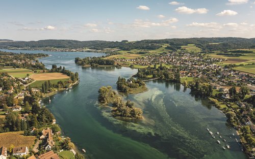 Rhine Falls and Stein am Rhein Medieval Town Guided Tour 