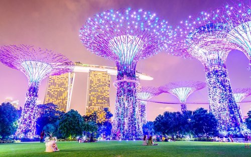Singapore Night Tour River Cruise, Garden Rhapsody & Marina Spectra
