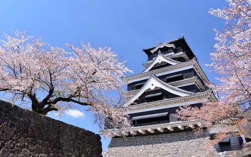 Kumamoto Castle Ticket