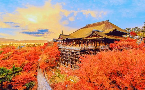 Kyoto and Nara Day Tour │ Kiyomizu-dera Temple + Fushimi Inari-taisha Shrine + Nara Park (Osaka/Kyoto Departure)