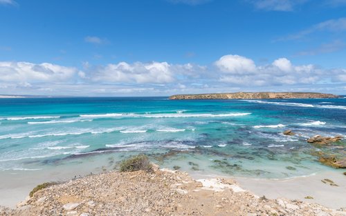 Lawatan Sehari Merasai Tiram di Coffin Bay