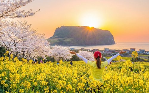 Best Jeju Day Tour: UNESCO & Essential Highlights (East/SouthWest) 