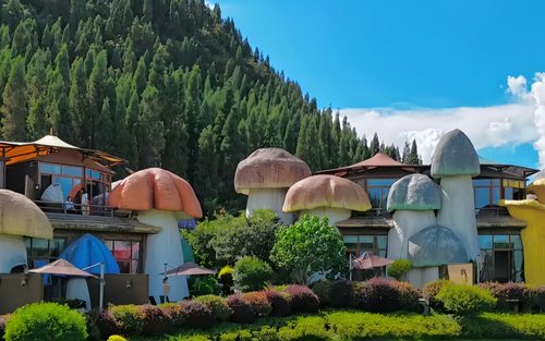 귀주 봉림 혹서기 피서 천서남 VIP 럭셔리 프라이빗 투어 5일 4박