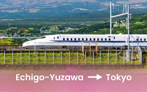 Билет на скоростной поезд Синкансэн (Japan Rail) из Эчиго-Юдзавы в Токио.