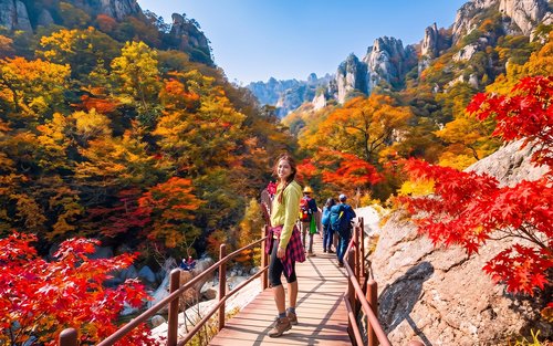 Nami Island & Mt.Seorak & Alpaca Seasonal Tour