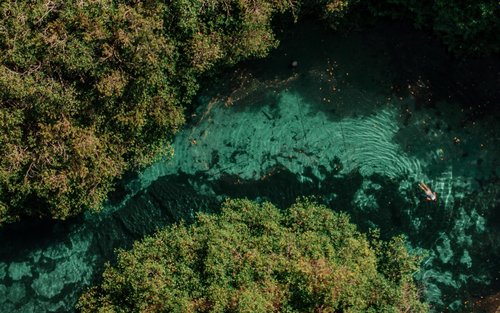 Das Cenoten-Schnorchelerlebnis in Tulum