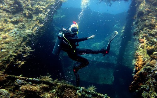 Diving Tour for Non-Certified Divers by Bali Diving
