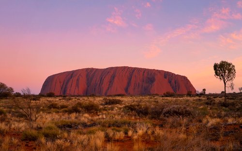 Uluru Sacred Sites and Sunset Day Tour