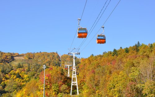 Hoheikyo Electric Bus & Sapporo Kokusai Ski Resort Koyo Gondola Round Trip Ticket