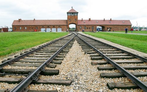 Auschwitz-Birkenau and Wieliczka Salt Mine Tour in Krakow