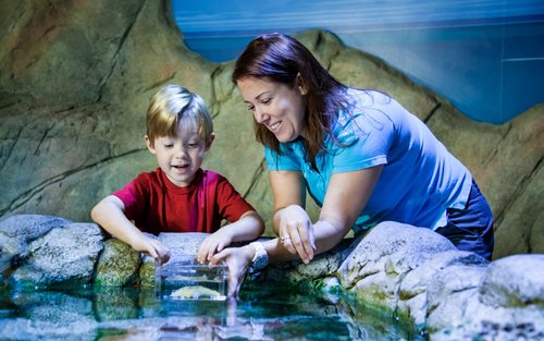 Sea Life Paris Aquarium Ticket