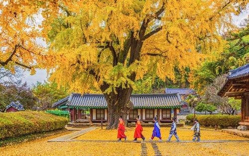 Jeonju Hanok Village Tour from Seoul