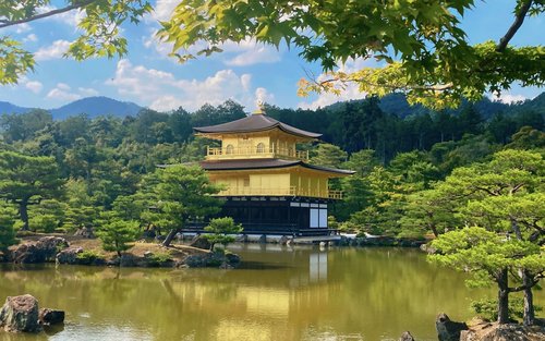 【大阪/京都每日出發】京都伏見稻荷千本鳥居＆嵐山竹林渡月橋＆金閣寺奈良公園東大寺(可升級神戶牛等午餐)