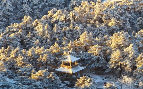 黄山迎客松一日游