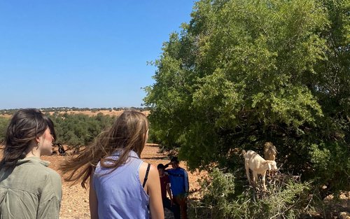 Marrakech Essaouira Full-Day Trip with Argan Oil Experience
