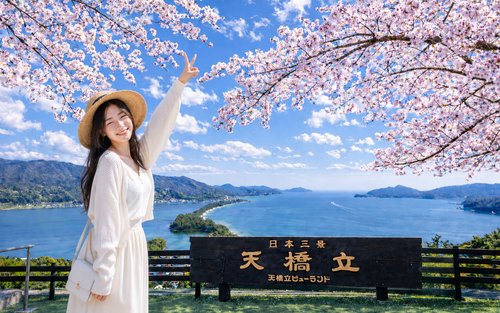 日本三景之天桥立&伊根舟屋&伊根湾一日游（大阪或京都出发）