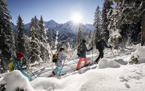 Snowshoe Experience from Interlaken