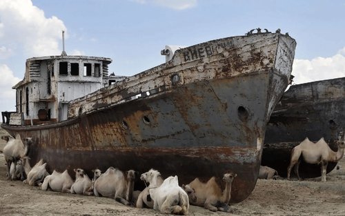 Khiva Aral Sea, Necropolis, & Chilpik Dakhma Private Day Tour