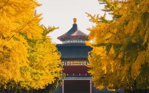 北京天壇門票+電子講解（多語種可選）
