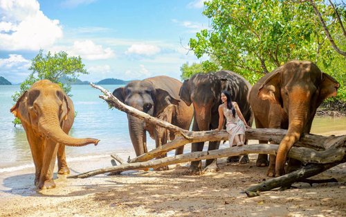 Посещение слонов и пляжа в лагере Phuket Siray Elephant Care Camp