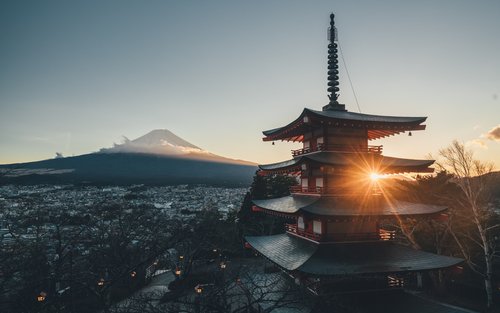 Tour di un giorno al Monte Fuji: Visita dei fiori e shopping outlet da Tokyo