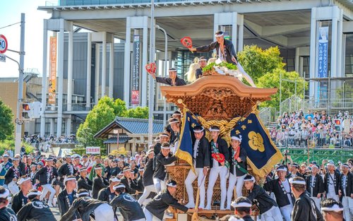 岸和田九月祭（だんじり祭）