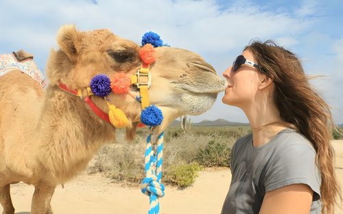 Explore Los Cabos on Camelback in Mexico