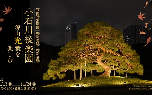 特别夜间开放：2026年小石川后乐园秋夜点灯
