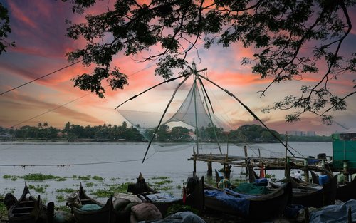 Cochin, Munnar, Thekkady, Alleppey Private Multi-Day Tour