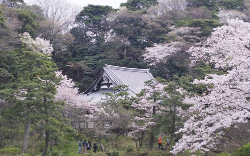 Sankeien Garden Admission