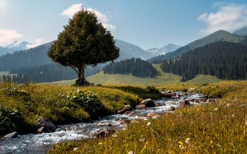 9-daagse/8-nachten durende grote rondreis door Noord-Xinjiang, inclusief Kanas en Yili in de zomer (2 nachten in het attractiegebied + een reis door de Dushanzi-Kuitun-snelweg).