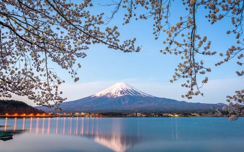 富士山＆忍野八海一日私人包車之旅