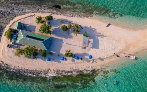 Oolala Cruise to Savala Island Day Tour