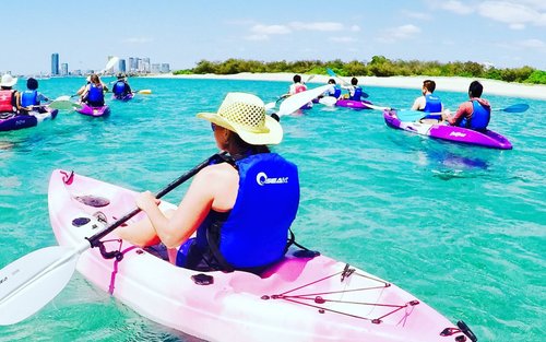 Dolfijnen Kajakken & Snorkelen Onder Begeleiding in Gold Coast