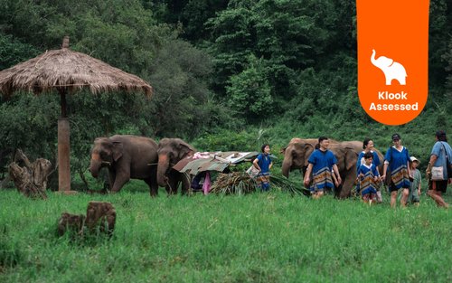 New Elephant Home Elefantenreservat in Chiang Mai