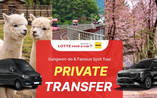 O melhor de Gangwon-do: Nami Island & Alpaca World Aluguel de Carro Particular