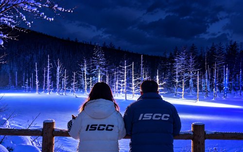 Furano & Biei Seasonal One-Day Tour: Summer Flower Fields · Winter Illumination Romantic Route